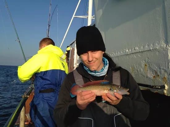 Fladen fisketurer