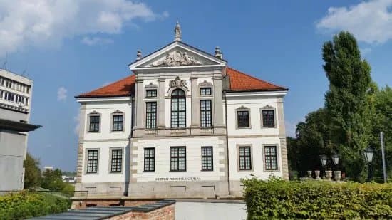 Ostrogski Castle (Palac Ostrogskich)