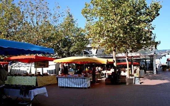 Marche