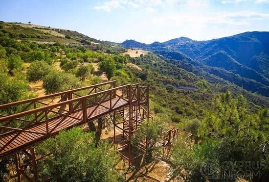 Organic Olive Farm - Terra Oliva