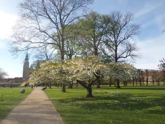 Kongens Have