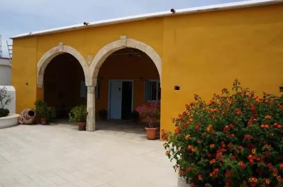 Traditional house