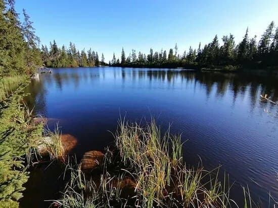 Jamske pleso