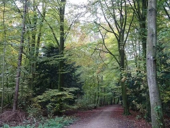 Boswachterijen