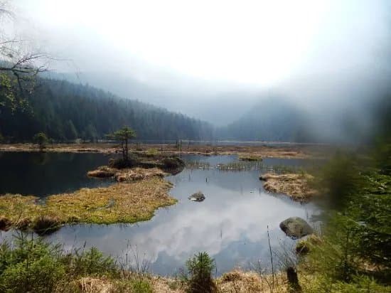 Parc national de la Foret bavaroise