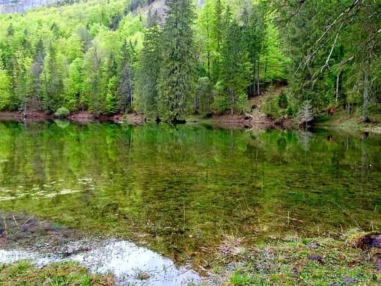 Wiesensee