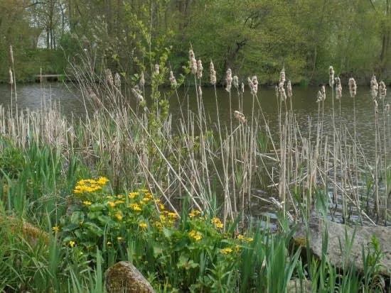 Ronde Hoep Polder
