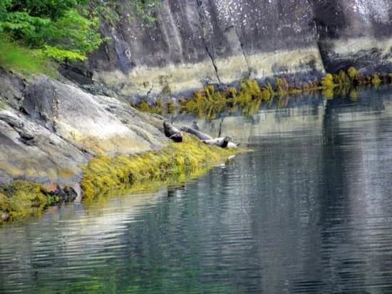 Norwegian Fjord Voyage AS