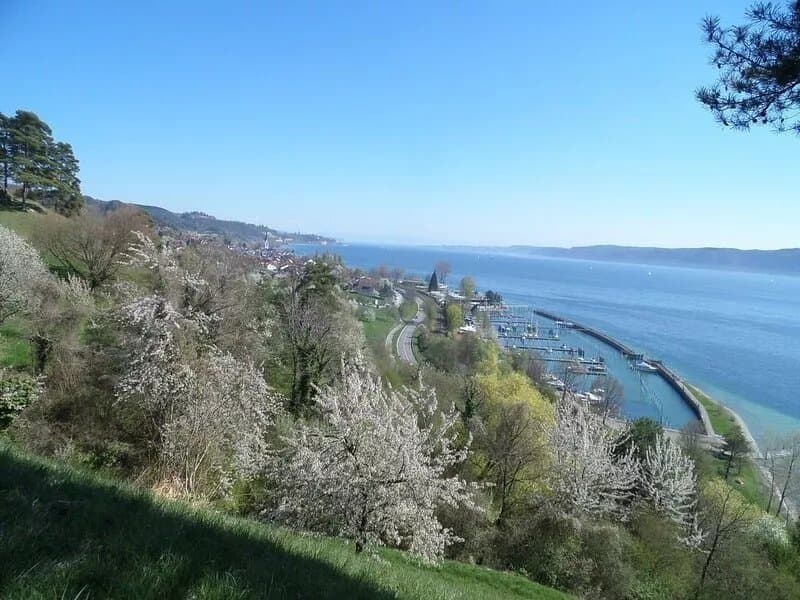 Close to Lake Constance with a magnificent view of the lake and the Alps.