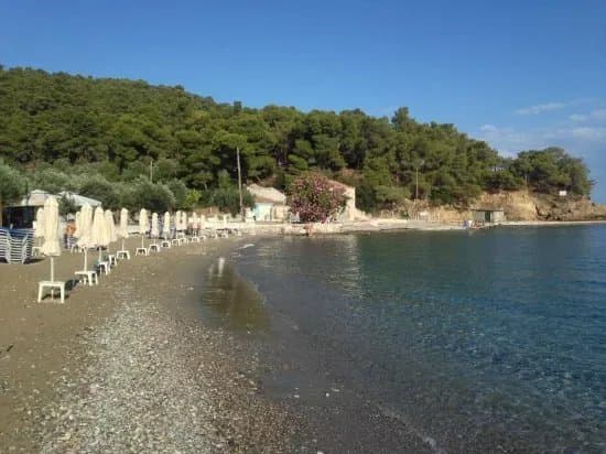 Monastery Beach