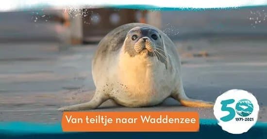 Zeehondencentrum Pieterburen