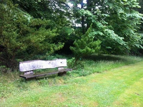 Arboretet