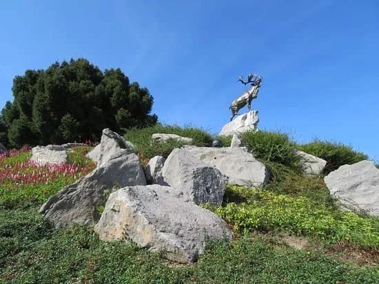 Memorial Terre-neuvien De Beaumont-hamel