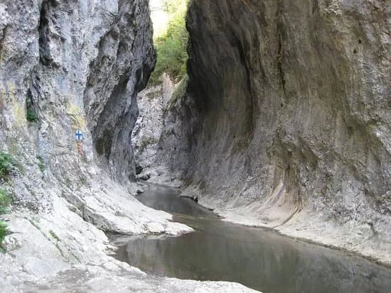 Cheile Ramekului