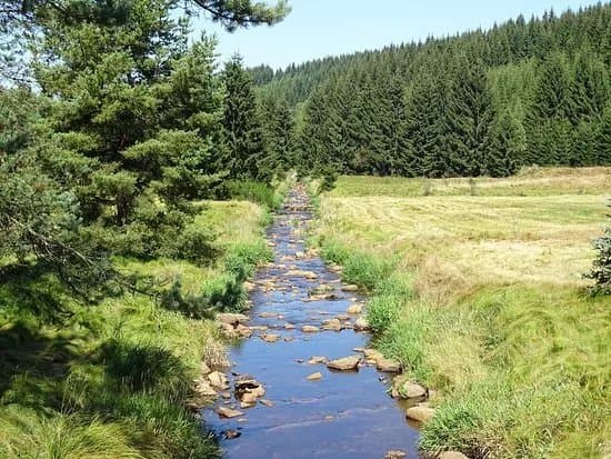 Schwarzwassertal