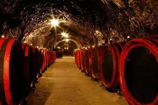 Tokaj Macik winery