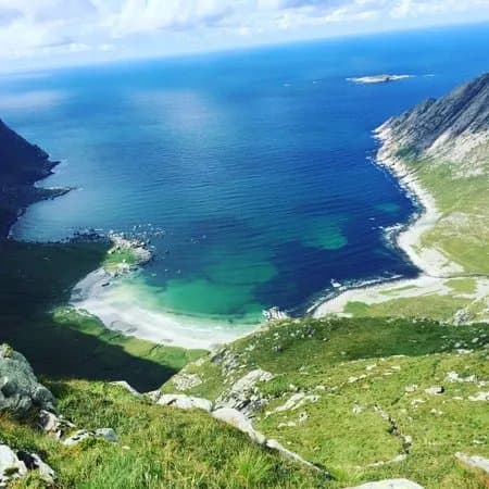 Vetvika