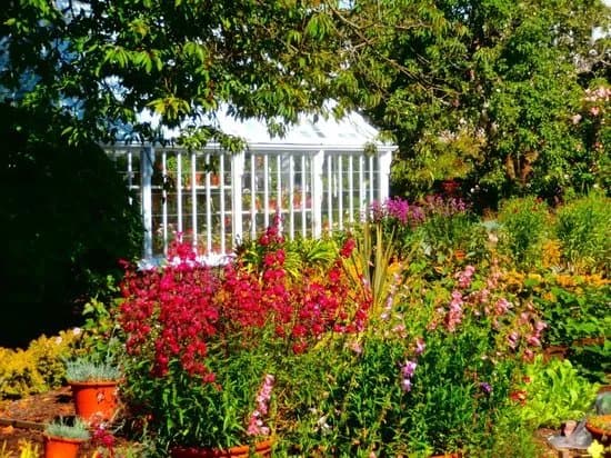 Broughton House & Garden
