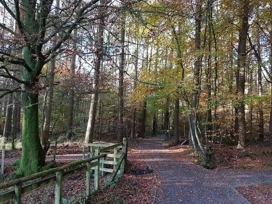 Eskrigg Nature Reserve