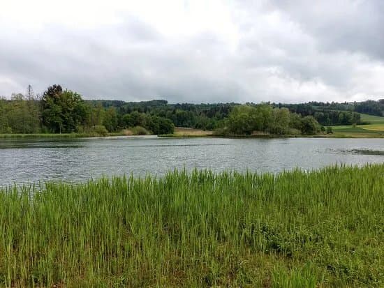 Flachsee