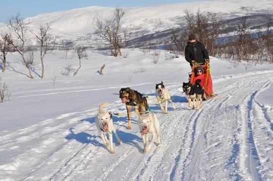 Tromso Wilderness Centre
