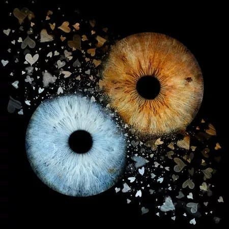 Iris Galerie Bruxelles
