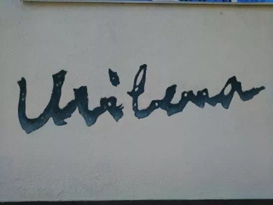 Galerija Milena Pavlovic Barili