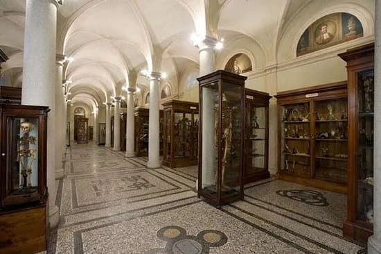 Museo di Anatomia Umana