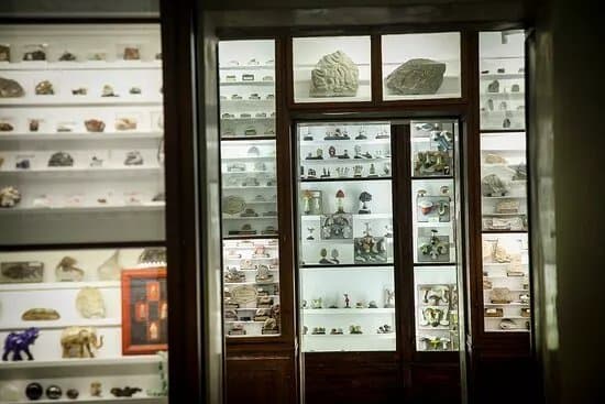 Museo di Storia Naturale dell'Accademia dei Fisiocritici