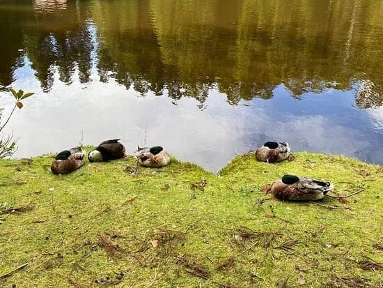Lagoa Das Patas