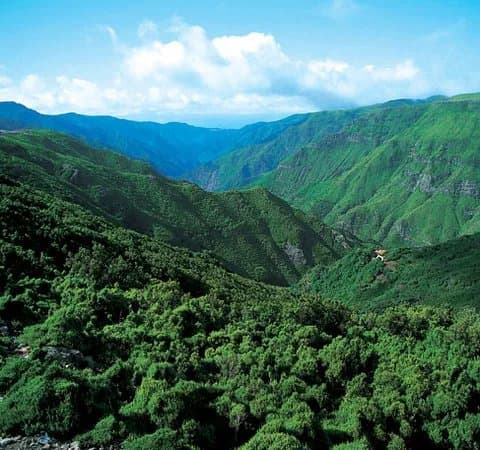 Madeira Explorers