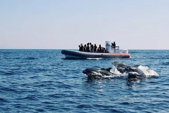 Allboat