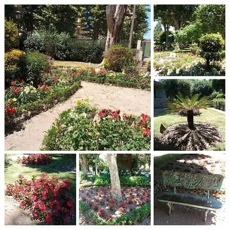 Jardin Botanico Artistico