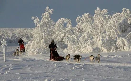 Hetta Huskies