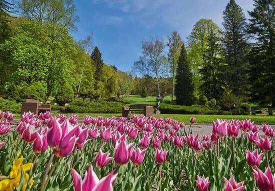 Park - Kupele Sliac