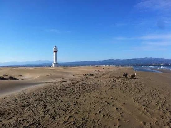 Playa La Punta del Fangar