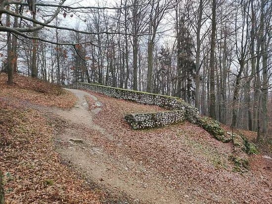 Rifnik Archaeological Park