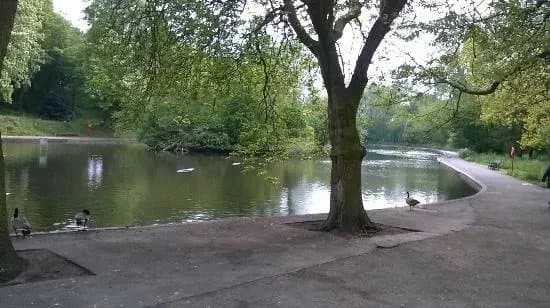 Ward End Park