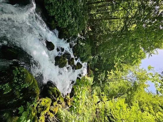 Tara Springs Park