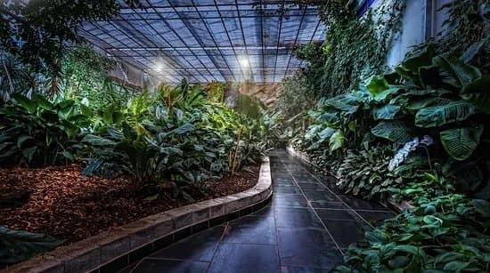 Tropical Garden Slovenia