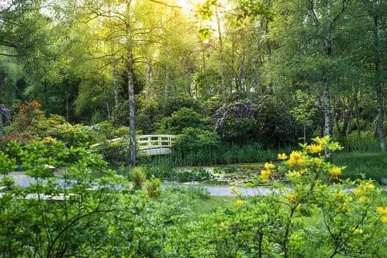 Park Seleger Moor