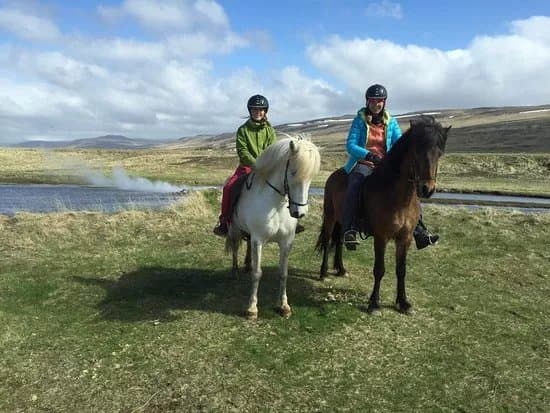 Sturlureykir Horses/Visiting HorseFarm
