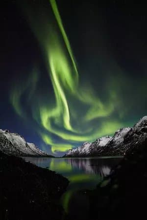 Arctic Guide Service