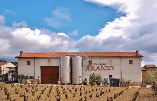Araico