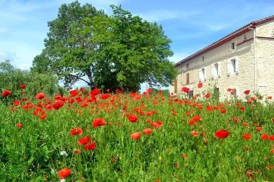 Clos Rocailleux
