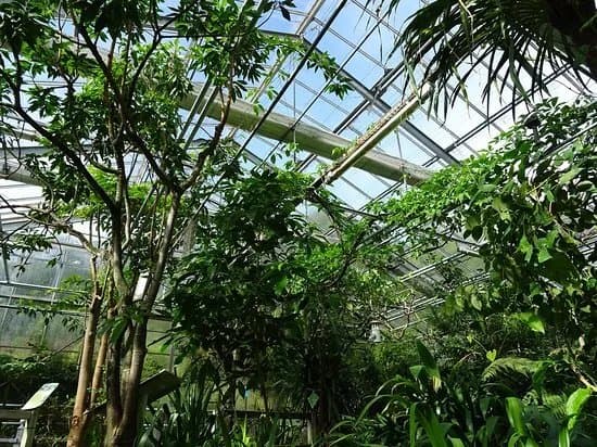 Jardin du Conservatoire Botanique National de Brest