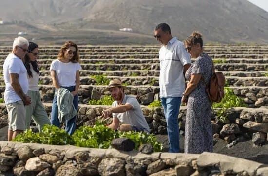 Wine Tours Lanzarote