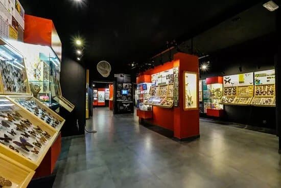 Muzeum Motyli
