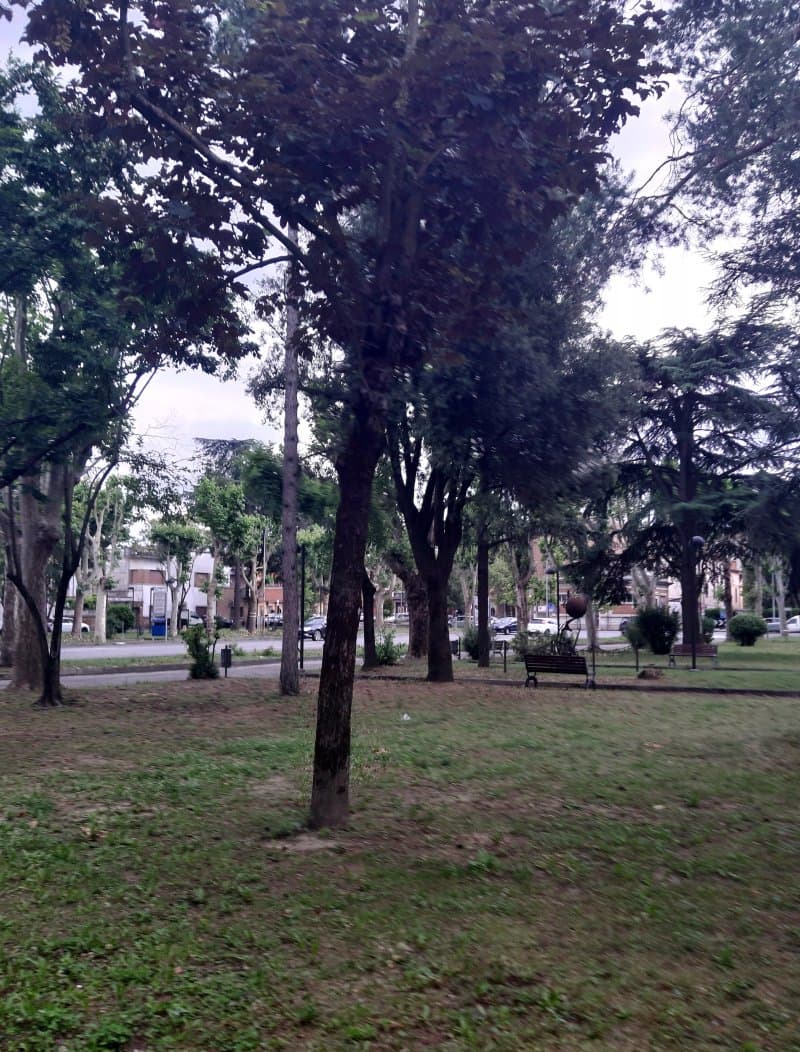 Giardini Pubblici di Piazza A. Costa