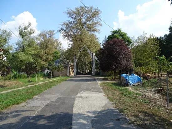 Pazmany Peter Catholic University